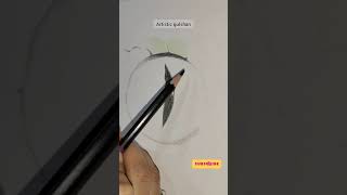 Realistic snake drawing | Snake's eye drawing using Faber catsel 12 Bi- colour pencils