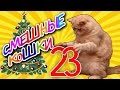 Смешные кошки 23 ● Коты против Ёлок - Приколы с животными 2015 ● Funny cats vine compilation