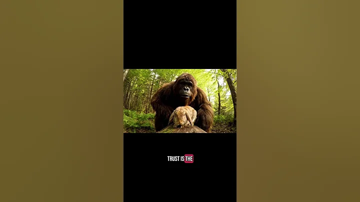 BigFoot cooking camp 🏕️🐰 #yowie #bigfootvlog #gorilla #bigfoot #yeti