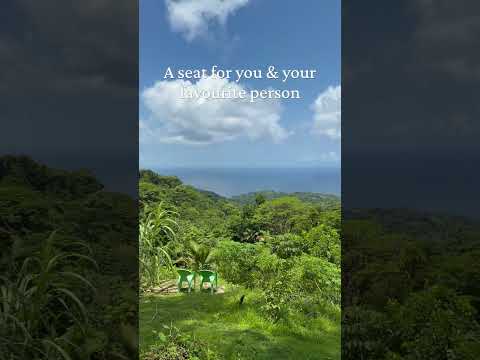Who would you sit with? #travel #trinidadandtobago #views
