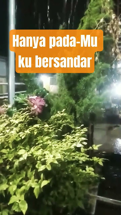 Pada-Mu ku bersandar #quotes #motivation #motivasidiri #storywa #motivasi #like #nature #love