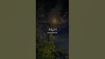 القرآن الكريم الشيخ ياسر الدوسري #المصحف #القرآن_الكريم #راحة_نفسية #shortvideo  #الرحمن