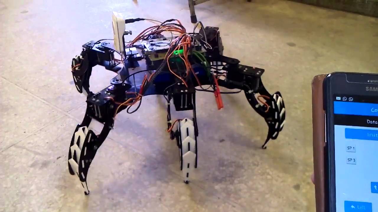 Final year project project Spider robot 
