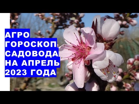 Видео: Информация за наслояване на растенията - какви растения могат да се размножават чрез наслояване