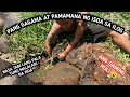 BIG FISH CAUGHT BY HAND  PHILIPPINES | PANG GAGAMA NG ISDA SA TABI