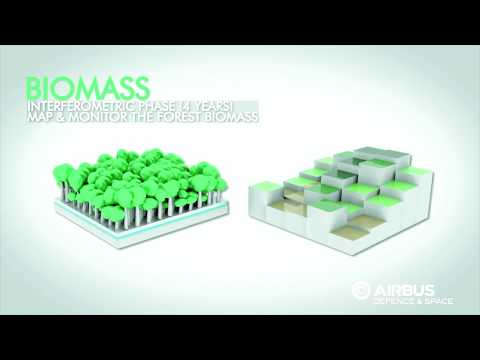 ESA Echoes in Space - Land: Introduction to Forest Monitoring