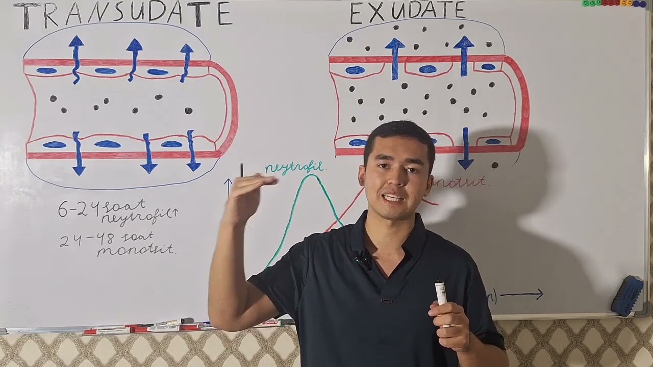 yallig'lanish patofiziologiyasi 2-qism