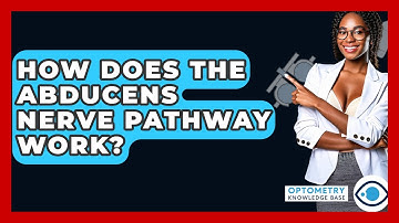 How Does The Abducens Nerve Pathway Work? - Optometry Knowledge Base