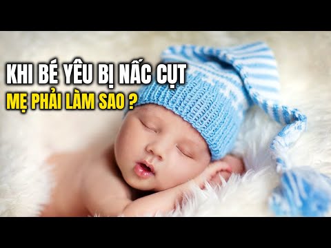 Video: Điều gì xảy ra nếu một con chó cái chảy máu trong khi mang thai?