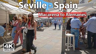 ☀ Seville 4K Walk from Macarena to Alemanes  Virtual Walking Tour, Spain