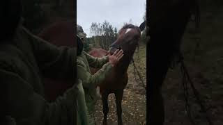 Наші бійці приручать будь-кого!