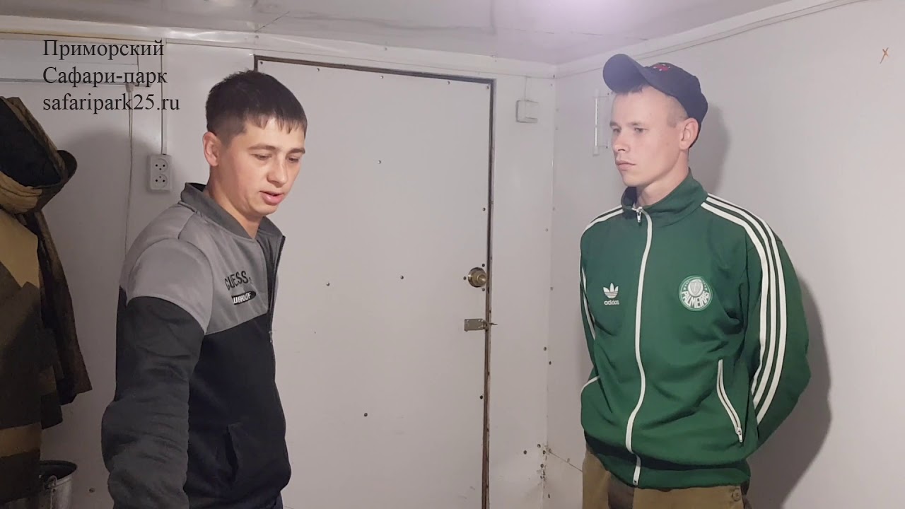 сафари парк цены В ПРИМОРСКИЙ САФАРИ ПАРК ПОСТУПИЛА РЫСЬ ИЗ ПРИРОДЫ
