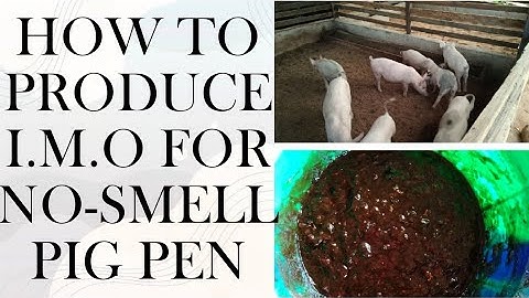How To Make Your Own IMO At The FARM / Indigenous Micro-organism (imo) / Backyard Piggery