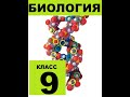 § 41 Макроэволюция