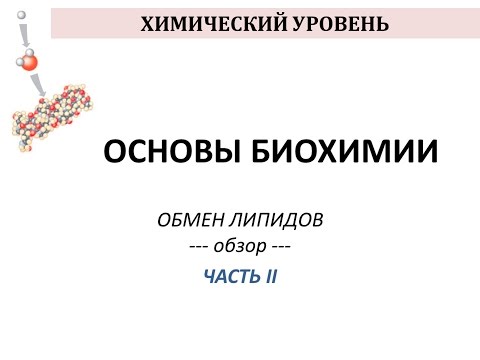 ОБМЕН ЛИПИДОВ - часть 2 - Просто о сложном - Химия