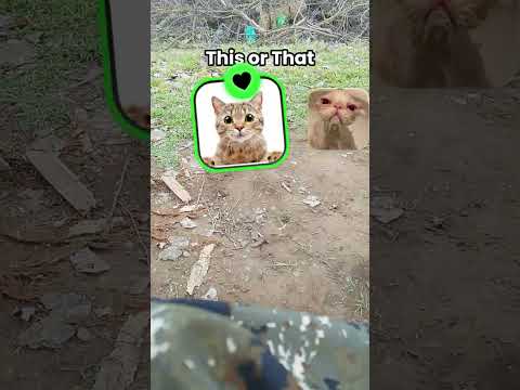 8 марта 2026 г.