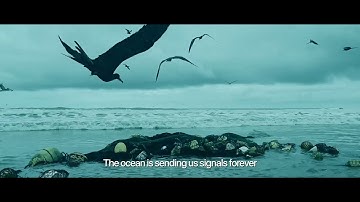 🌊 SEAGNAL – The Ocean’s Last Call 🌊