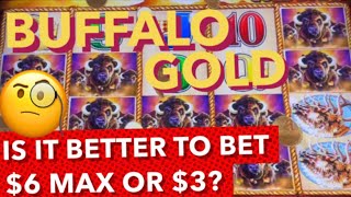 BUFFALO GOLD MASSIVE WIN @ GRATON CASINO