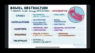 Intestinal obstruction, part two