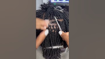 Interlocking Locs #shorts #locjourney #locs #locstyles #locdqueen #locd