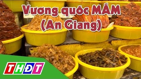 Có một "Vương quốc Mắm" ở An Giang | THDT