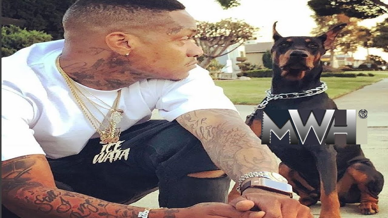 Slim 400 & YG TREE TOP BOMPTON PIRU [MUSIC VIDEO] 2018 YouTube