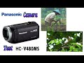 Test Handycam Panasonic HC V480MS Japan