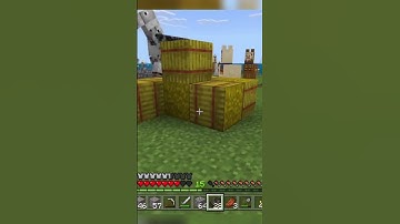 Executing Every Wandering Trader and Taking all of their llamas 😈 #gaming #minecraft #xbox