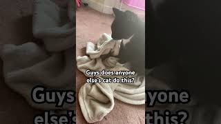 Celebrity Guys does anyone else’s cat do this? #blowup #like #comment #subscribe #viralvideos #fypシ゚viral Net Worth