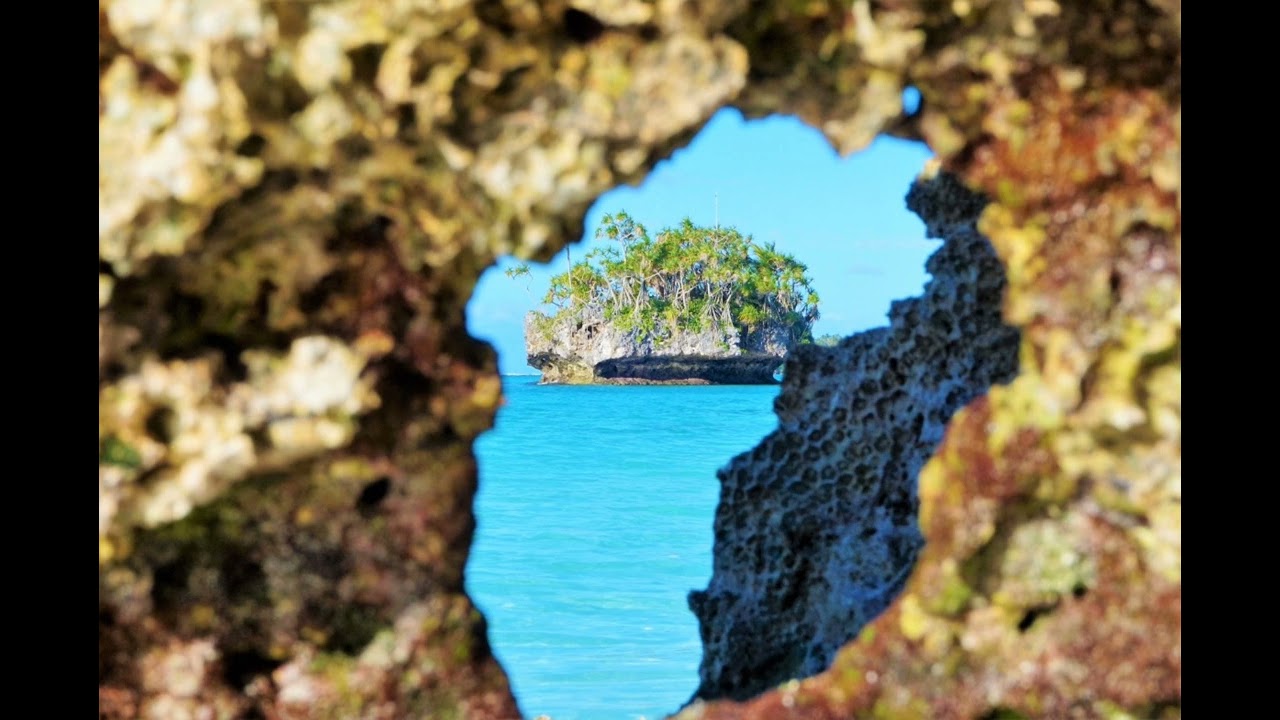 mj🇳🇨🇳🇨🇳🇨