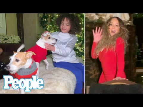 Video: Mariah Carey fights with her husband for dogs