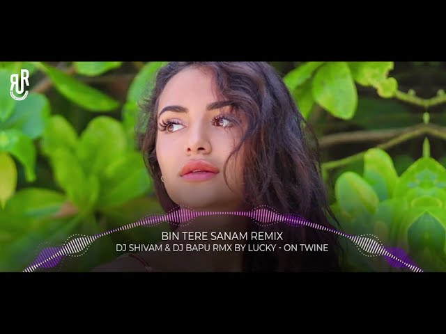 Bin Tere Sanam (Remix) Dj Shivam & Dj Bapu | Riseup Records class=