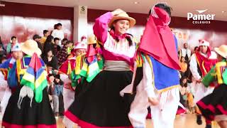 Así Vivimos Las Festidanzas En Pamer
