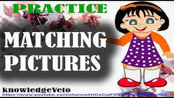 PRE-NURSERY LESSON -9, Part-6, Matching Pictures--Subject English (Video 39)