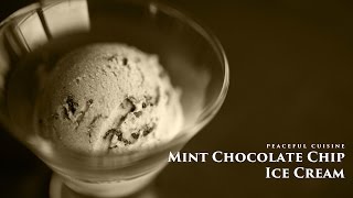 [No Music] How to make Mint Chocolate Chip Ice Cream