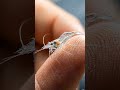 This tiny ocean creature will shock you! 🦐#macrophotography#marinelife#oceanlife#naturephotography