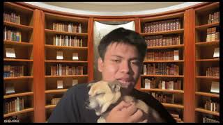 Techxpert | Discover Rover for Senior Pet Owners | Brandon