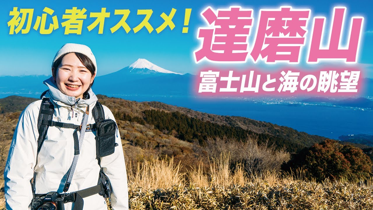 【達磨山】富士山を眺める伊豆登山！海と春を感じる絶景低山ハイク