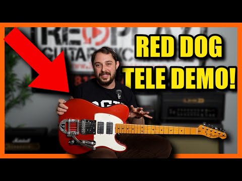 Fender Mike Campbell “Red Dog” Full Demo and Review