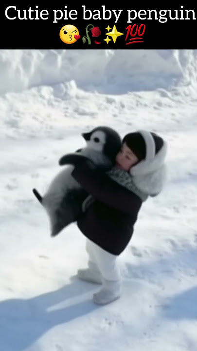 cutie pie baby penguin😘🥀|#cute #fluffy #penguin #viralreels #viral #million #fypシ゚viral