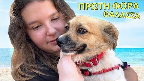 WE TOOK OUR DOG TO THE SEA FOR THE FIRST TIME!!!