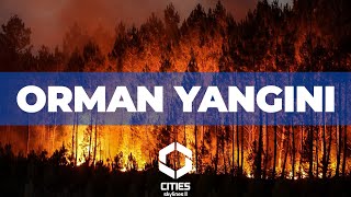 ORMAN YANGINI!  CITIES SKYLINES 2