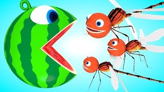 Pacman Dragonfly meets a truck friends watermelon rolling as he find surprise box on farm