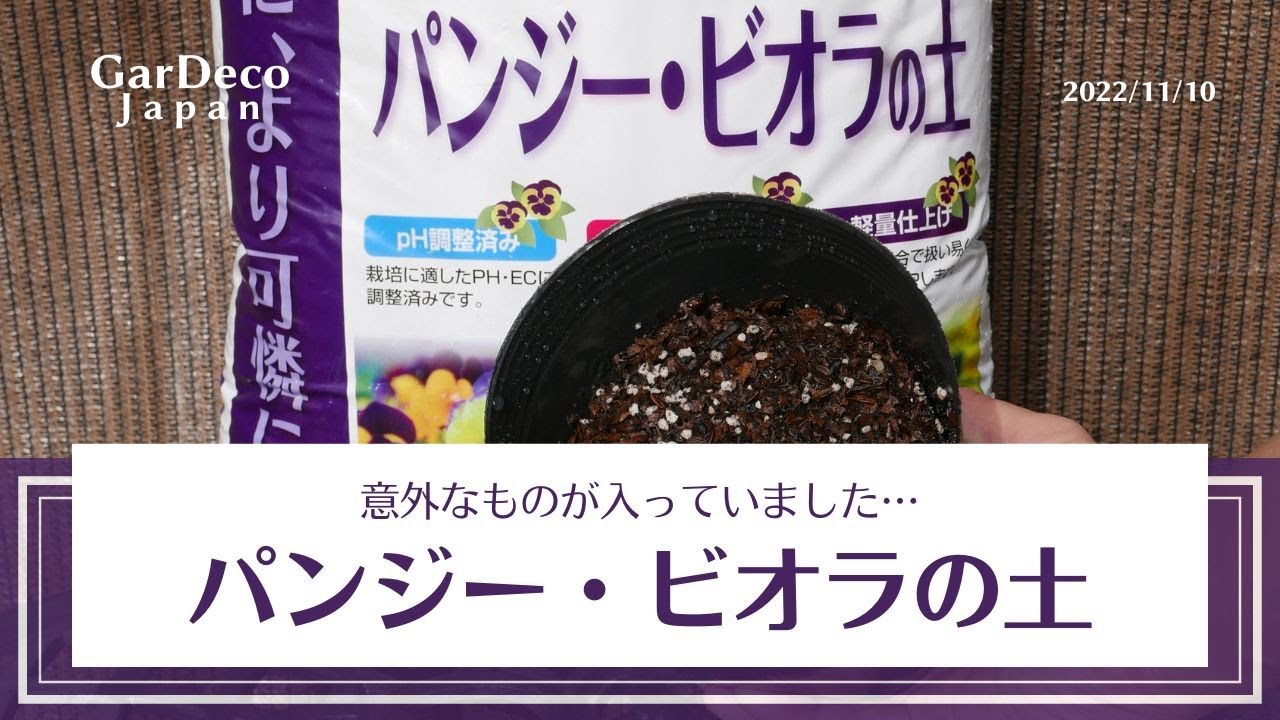 意外なものが入っていました パンジー ビオラの土には何が入っている 園芸用培養土 Youtube 意外なものが入っていました パンジー ビオラの土には何が入っている 園芸用培養土 Youtube