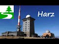 Die schönsten Wanderungen im Harz