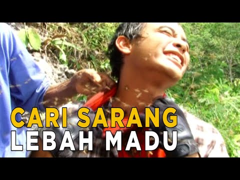 Video: Bersarang Kawanan Lebah Madu: Menangani Kawanan Lebah Madu Di Taman