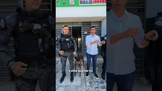 👮♂️🐶 A NOSSA GUARDA CIVIL MUNICIPAL SEGUE INOVANDO, E AGORA GANHOU UM NOVO INTEGRANTE: O AMIGO BETO!