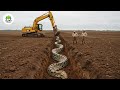Jaw-Dropping Excavator Operator Skills So Crazy You’d Think They’re Fake! #61