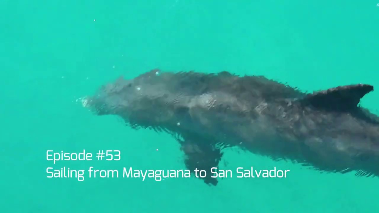 Episode #53  Sailing from Mayaguana to San Salvador