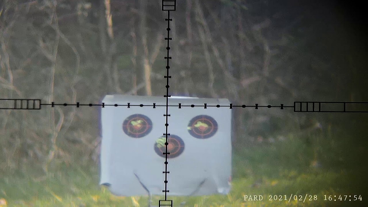 Logun S16 17 8 slugs 60m